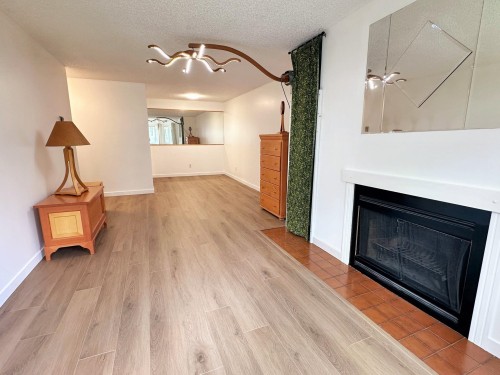 303-9890 Manchester Drive, Burnaby, BC - Indoor Photo Showing Living Room With Fireplace