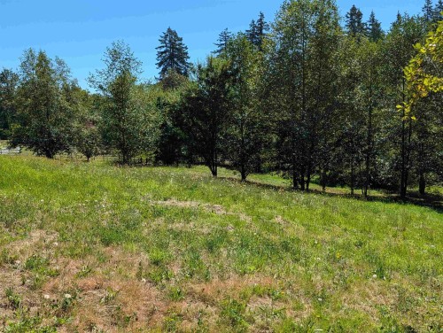26713 96 Avenue, Maple Ridge, BC - Outdoor