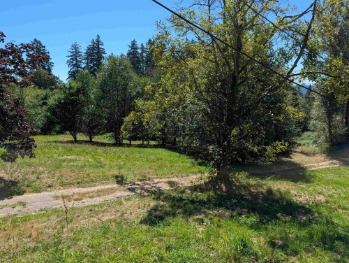 26713 96 Avenue, Maple Ridge, BC - Outdoor With View