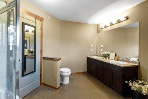 90-24185 106B Avenue, Maple Ridge, BC - Indoor Photo Showing Bathroom