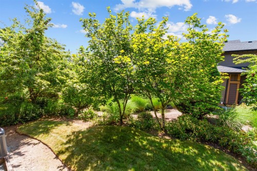 90-24185 106B Avenue, Maple Ridge, BC - Outdoor