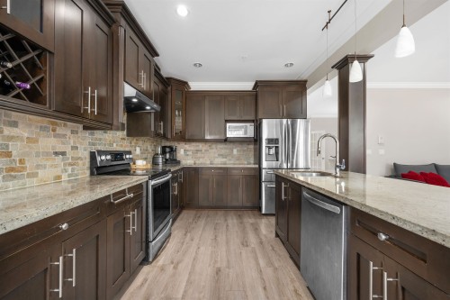24225 103A Avenue, Maple Ridge, BC - Indoor Photo Showing Kitchen With Upgraded Kitchen