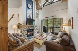 11-4510 Blackcomb Way Whistler, BC V8E 0X8