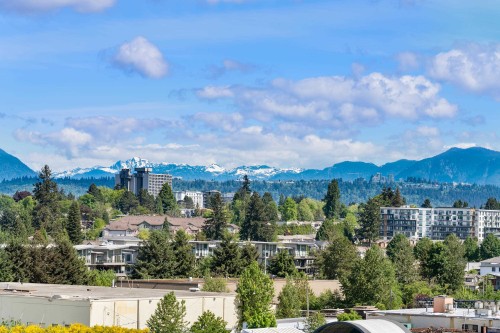 602-7683 Park Crescent, Burnaby, BC - Outdoor With View