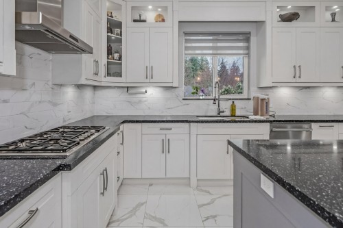 2488 Latimer Avenue, Coquitlam, BC - Indoor Photo Showing Kitchen With Upgraded Kitchen