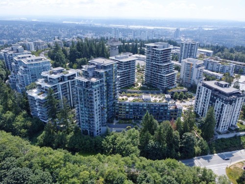 909-8850 University Crescent, Burnaby, BC - Outdoor With View