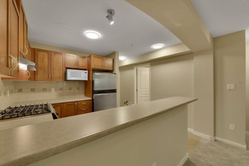 408-2959 Silver Springs Boulevard, Coquitlam, BC - Indoor Photo Showing Kitchen