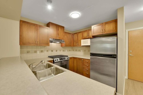 408-2959 Silver Springs Boulevard, Coquitlam, BC - Indoor Photo Showing Kitchen With Stainless Steel Kitchen With Double Sink