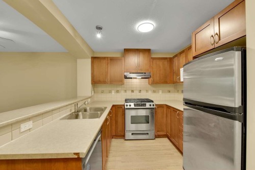 408-2959 Silver Springs Boulevard, Coquitlam, BC - Indoor Photo Showing Kitchen With Stainless Steel Kitchen With Double Sink