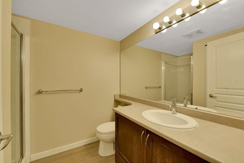 408-2959 Silver Springs Boulevard, Coquitlam, BC - Indoor Photo Showing Bathroom