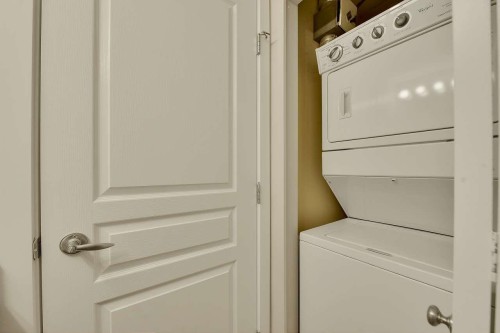 408-2959 Silver Springs Boulevard, Coquitlam, BC - Indoor Photo Showing Laundry Room