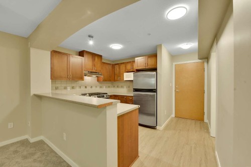 408-2959 Silver Springs Boulevard, Coquitlam, BC - Indoor Photo Showing Kitchen