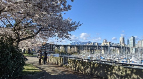 129 Regiment Square, Vancouver, BC - Outdoor