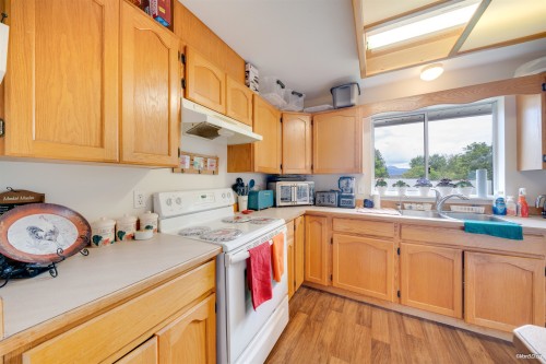 12142 227 Street, Maple Ridge, BC - Indoor Photo Showing Kitchen With Double Sink