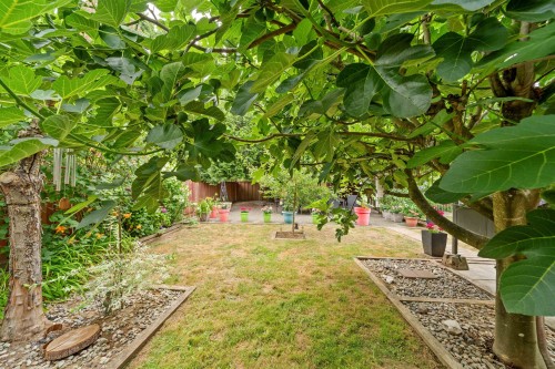 20240 121 Avenue, Maple Ridge, BC - Outdoor
