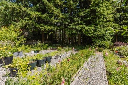 1565 Bramble Lane, Coquitlam, BC - Outdoor
