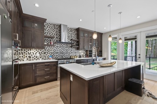 23376 124 Avenue, Maple Ridge, BC - Indoor Photo Showing Kitchen With Upgraded Kitchen
