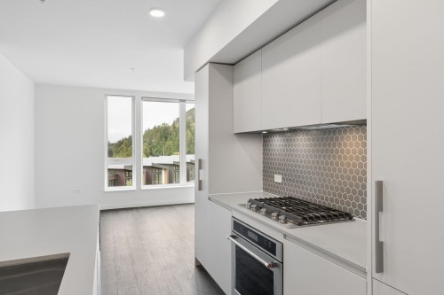 421-1500 Scott Crescent, Squamish, BC - Indoor Photo Showing Kitchen