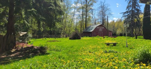27810 110 Avenue, Maple Ridge, BC - Outdoor