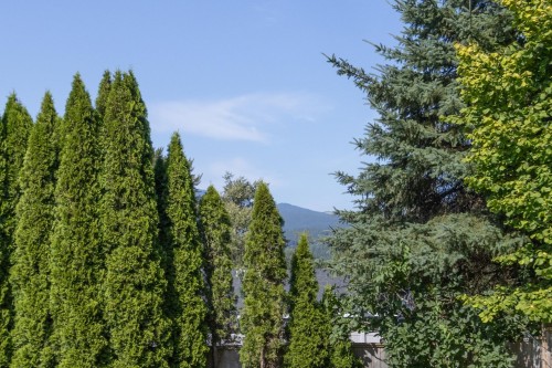 22531 Kendrick Loop, Maple Ridge, BC - Outdoor With View