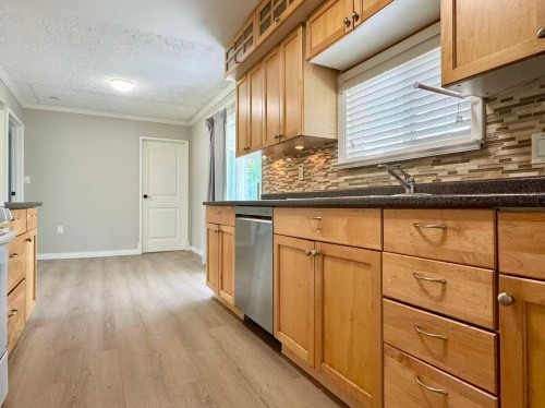 22543 123 Avenue, Maple Ridge, BC - Indoor Photo Showing Kitchen With Double Sink