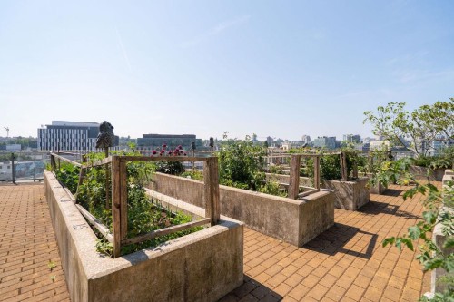 155 2Nd Avenue W, Vancouver, BC - Outdoor With Deck Patio Veranda
