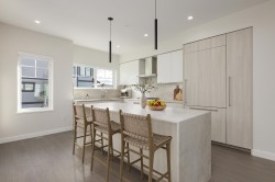 100-19451 Sutton Avenue Pitt Meadows, BC V3Y 0G6