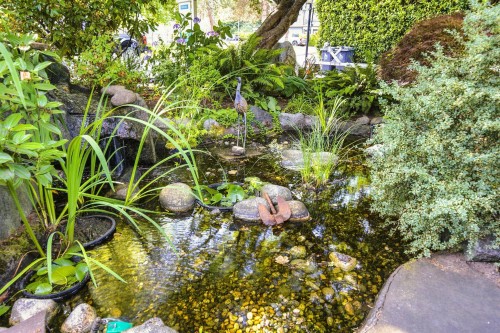 2360 Mackay Avenue, North Vancouver, BC - Outdoor