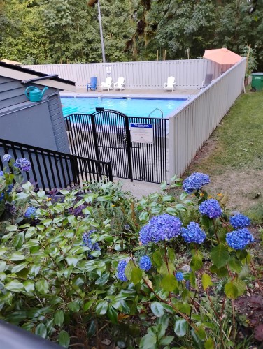 8354 Vinewood Place, Burnaby, BC - Outdoor With In Ground Pool