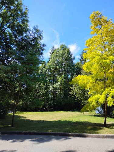 8354 Vinewood Place, Burnaby, BC - Outdoor