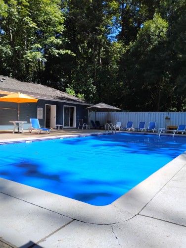 8354 Vinewood Place, Burnaby, BC - Outdoor With In Ground Pool With Backyard