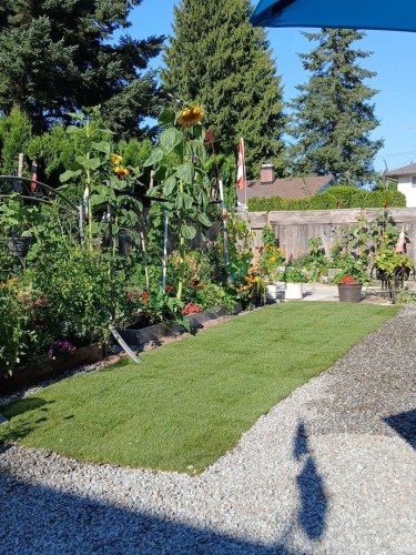 2930 Sefton Street, Port Coquitlam, BC - Outdoor