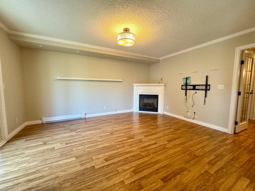 1032 Cornwall Drive, Port Coquitlam, BC - Indoor With Fireplace