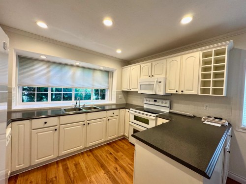 1032 Cornwall Drive, Port Coquitlam, BC - Indoor Photo Showing Kitchen With Double Sink