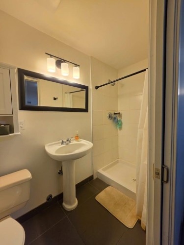 737 Robinson, Coquitlam, BC - Indoor Photo Showing Bathroom