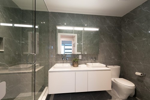 201-717 17Th Avenue W, Vancouver, BC - Indoor Photo Showing Bathroom