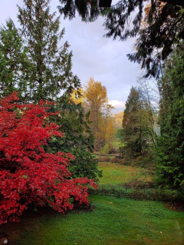 25855 112 Avenue, Maple Ridge, BC - Outdoor