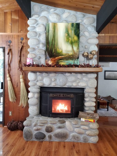25855 112 Avenue, Maple Ridge, BC - Indoor Photo Showing Living Room With Fireplace