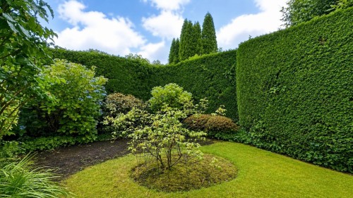 4438 4Th Avenue W, Vancouver, BC - Outdoor