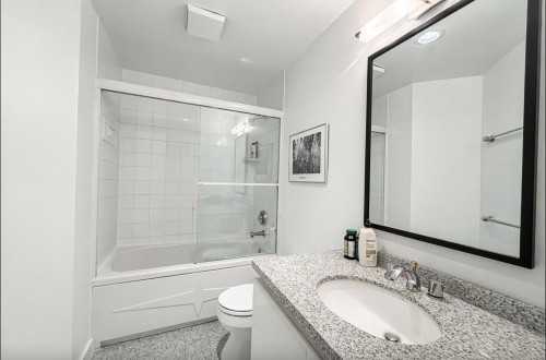 902-1888 Alberni Street, Vancouver, BC - Indoor Photo Showing Bathroom