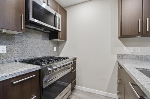 112 1St Avenue W, Vancouver, BC - Indoor Photo Showing Kitchen With Upgraded Kitchen