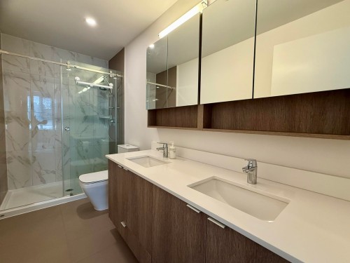 312-621 Regan Avenue, Coquitlam, BC - Indoor Photo Showing Bathroom