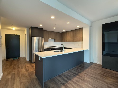 312-621 Regan Avenue, Coquitlam, BC - Indoor Photo Showing Kitchen With Double Sink
