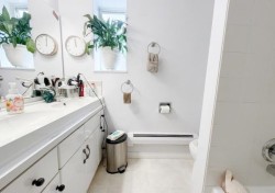 Basement-384 Blue Mountain Street Coquitlam, BC V3K 4J8
