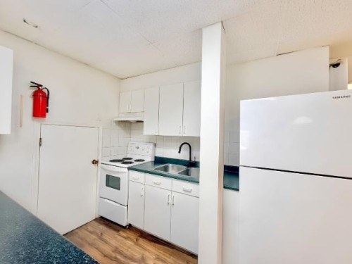 Basement-384 Blue Mountain Street , Coquitlam, BC V3K 4J8 3