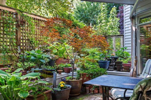 106-1147 Nelson Street, Vancouver, BC - Outdoor With Deck Patio Veranda