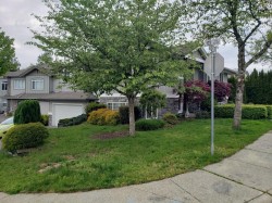 GL-12309 231b Street Maple Ridge, BC V2X 1X8