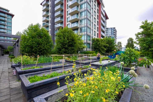 509-7368 Gollner Avenue, Richmond, BC - Outdoor