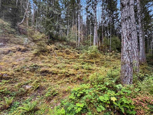 Lot 18 Cecil Hill Road, Madeira Park, BC 