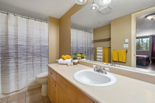 209-8080 Nicklaus North Boulevard, Whistler, BC - Indoor Photo Showing Bathroom
